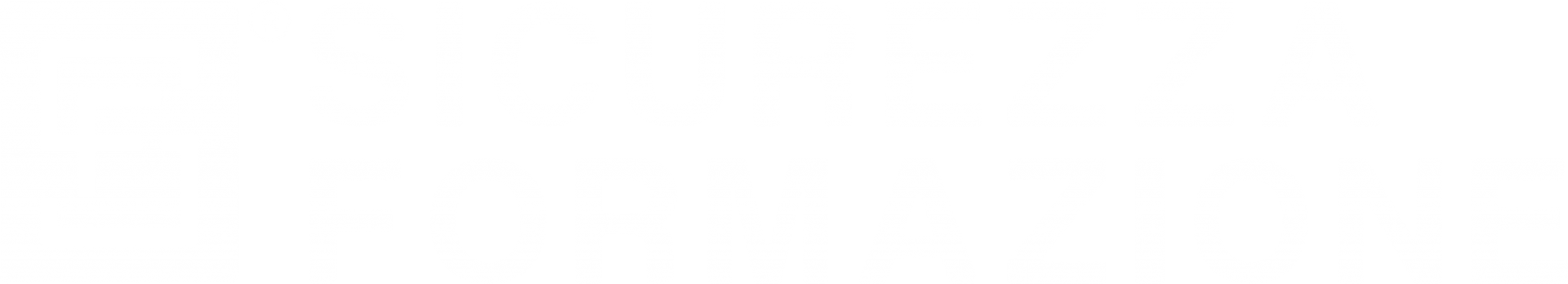 Sicurezza Formazione Srl