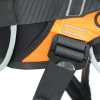 X-FIVE FAST - immagine 3