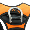 X-FIVE FAST - immagine 5