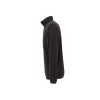 ARTIC Black Carbon - immagine 5